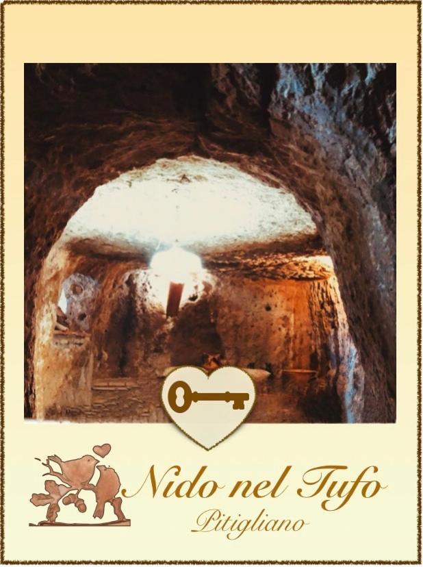 Nido Nel Tufo Apartment Pitigliano Bagian luar foto